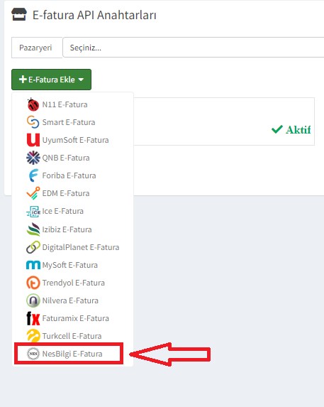 Nes Bilgi Planet E-Fatura