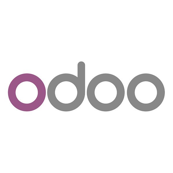 Odoo Muhasebe Entegrasyonu